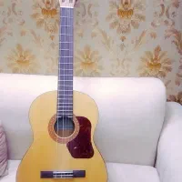 گیتاریاماها c40m