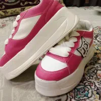 کتونی گرگی سرخابی|کیف، کفش، کمربند|اراک, |دیوار