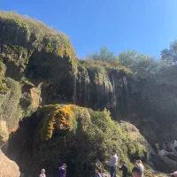 به یک نفر باغبان نیازمندیم