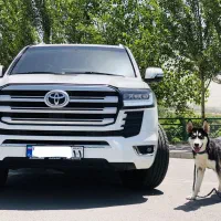 وام فوری/تامین سرمایه آزاد/خودرو ملک طلا سیمکارت