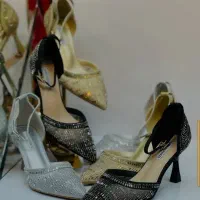 کفش مجلسی