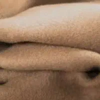 پتو سربازی یا نمدی|رختخواب، بالش، پتو|شیراز, شهرک گلها|دیوار