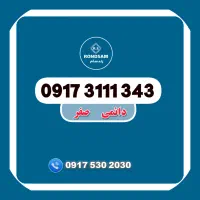 0917.3111.343