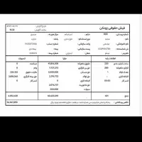 ضمانت دادگاهی با فیش حقوقی
