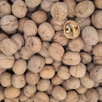 گردو بلغاری|خوردنی و آشامیدنی|اصفهان, برزان|دیوار