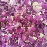 گل محمد|گل و گیاه طبیعی|اسکو, |دیوار