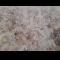 پشم گوسفندی شستشو ‌شده|رختخواب، بالش، پتو|خسروشاه, |دیوار