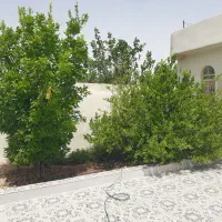 فروش مجموعه باغ و ویلا در آبدولی لامرد|فروش خانه و ویلا|لامرد, |دیوار