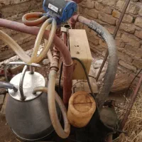شیردوش صنعتی برقی آماده دوشیدن