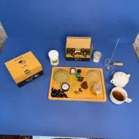 پژوهشکده ترک اعتیاد نهال سبز