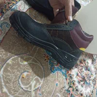 کفش کار نو نو نو نو|کیف، کفش، کمربند|حمیدیا, |دیوار