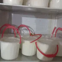 ماست گاومیش هشترود