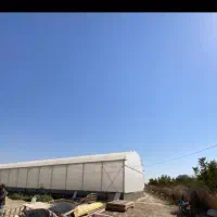 فروش زمین گلخانه‌ای زنان متراژ 7100متر|فروش دفتر صنعتی، کشاورزی، تجاری|قدس, زرنان پایین|دیوار