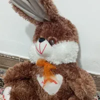 عروسک زیبا|اسباب‌بازی بچه|سنندج, |دیوار