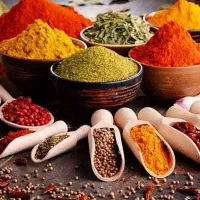 همایش شناخت شغل عطاری