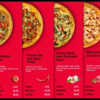 استخدام  بلاگر خانم