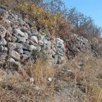 باغ|فروش زمین و ملک کلنگی|مشگین شهر, |دیوار