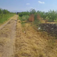 فروش باغ در روستای خوک از توابع شوط|فروش زمین و ملک کلنگی|شوط, |دیوار