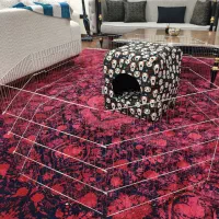 پارک سگ|لوازم جانبی حیوانات|کرج, عظیمیه|دیوار