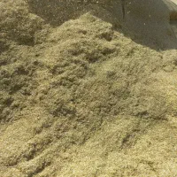 کاه عدس خوراک گوسفند
