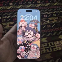 iPhone 16 ProMax .100%