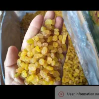 فروش کشمش و مویز|خوردنی و آشامیدنی|کاشمر, |دیوار