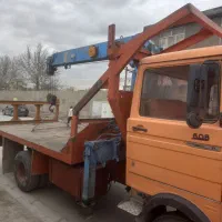 جرثقیل خاورتاج دار