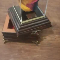 گل رز جاودان