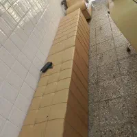 پاف و همه کامل