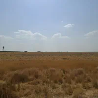 زمین-محمود-اباد-مسکونی-باغی