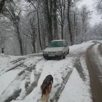 پراید هاچبک مدل ۸۰ سفید|خودرو سواری و وانت|رامسر, |دیوار