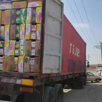 سبد میوه کارتن موزی