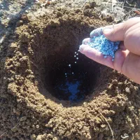 . تیلر. سم پاشی .