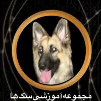آموزش .مربی سگ . مشهد