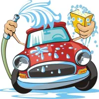 نیروی کار برای کارواش