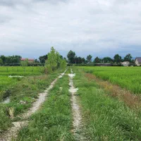 فروش زمین /مزرعه ۸۲۰۰ /مترمربع/ خاصه سرا/جماکو|فروش زمین و ملک کلنگی|تالش, هشتپر|دیوار