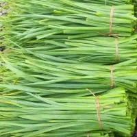 برگ سیر محلی و تربچه و شاهی و ازگیل و نارنج