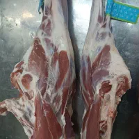 نیرو ساده زن یا مرددر آشپزخانه شرکت معتبر