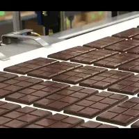 استخدام آقا با جای خواب و غذا+ حراست(شرکت شکلات)|استخدام صنعتی، فنی، مهندسی|کرج, گلشهر|دیوار