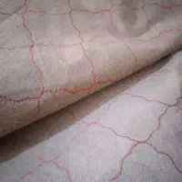 پالاز موکت در حدنو