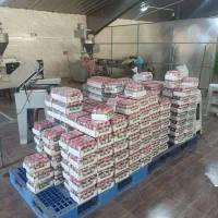 ادویه بسته بندی عمده|عمده‌فروشی|پاکدشت, پاکدشت (مامازند)|دیوار