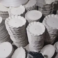 ظروف چینی