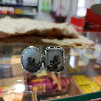 شجرسوزنی بی نقص ترین