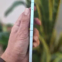 samsung zflip6 سامسونگ اقساط و نقد|موبایل|تهران, جردن|دیوار