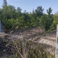 باغچه در روستای شیخ سرمست|فروش زمین و ملک کلنگی|ارومیه, |دیوار