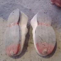 کفش گیوه اصل