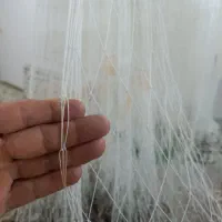 سفارش ماشک|ماهیگیری|تالش, هشتپر|دیوار