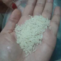 برنج طارم هاشمی