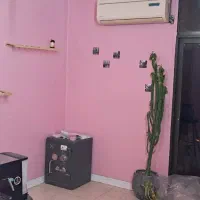 دفتر کار اول حکیم نظامی رو به رو پمپ بنزین