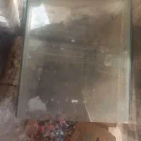 آکواریوم با وسایل|ماهی|سلماس, |دیوار